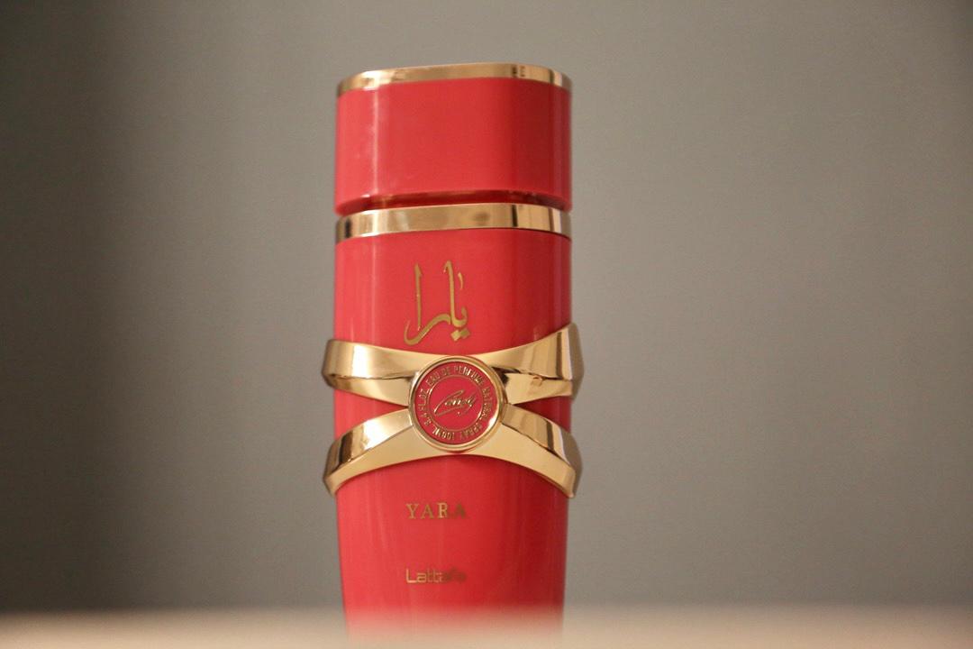 Badee Al Oud Unisex Luxury Perfume - Fresh & Woody | Naoual Bottega