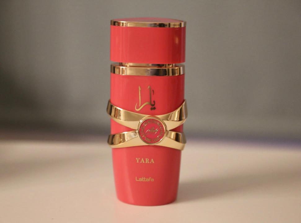 Badee Al Oud Unisex Luxury Perfume - Fresh & Woody | Naoual Bottega